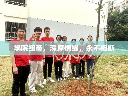 学院纽带,深厚情缘,永不相断