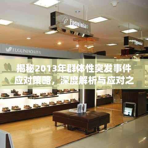 揭秘2013年群体性突发事件应对策略,深度解析与应对之道