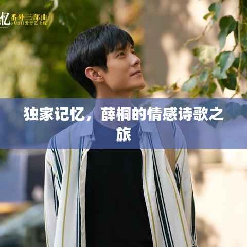 独家记忆,薛桐的情感诗歌之旅