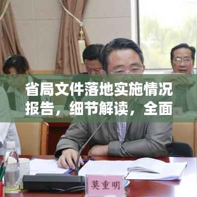 省局文件落地实施情况报告,细节解读,全面呈现!