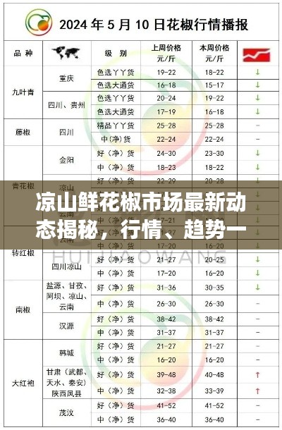 凉山鲜花椒市场最新动态揭秘，行情、趋势一网打尽！