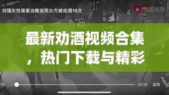 最新劝酒视频合集,热门下载与精彩赏析