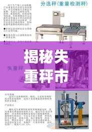 揭秘失重秤市场,厂家排名榜前十强榜单揭晓!
