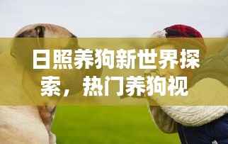 日照养狗新世界探索,热门养狗视频大集结