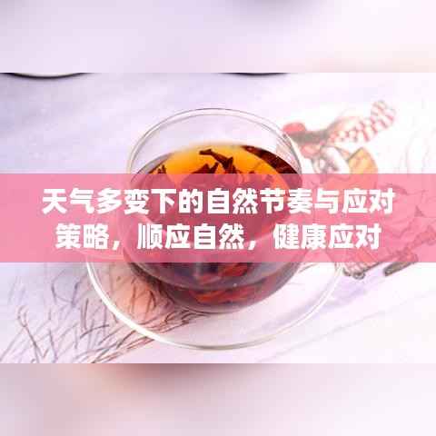 天气多变下的自然节奏与应对策略,顺应自然,健康应对
