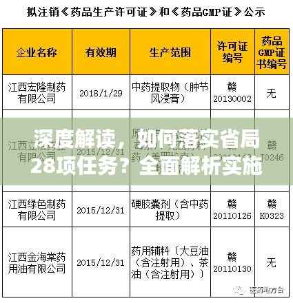 深度解读,如何落实省局28项任务?全面解析实施策略!