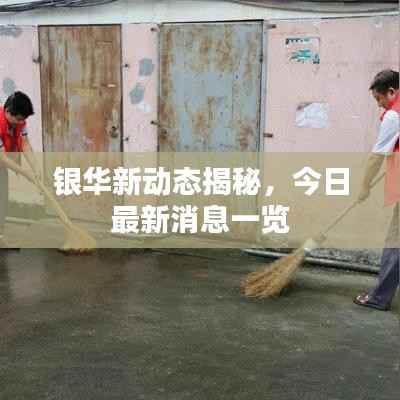 银华新动态揭秘,今日最新消息一览