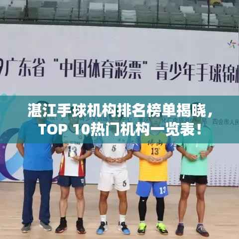 湛江手球机构排名榜单揭晓，TOP 10热门机构一览表！