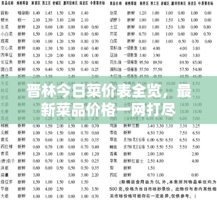 晋林今日菜价表全览,最新菜品价格一网打尽