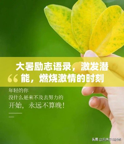 大暑励志语录,激发潜能,燃烧激情的时刻